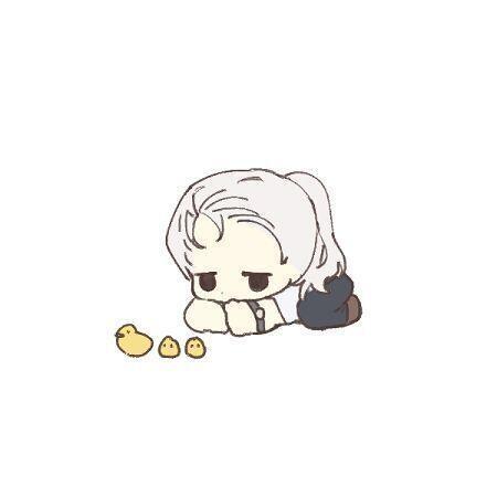자캐즈