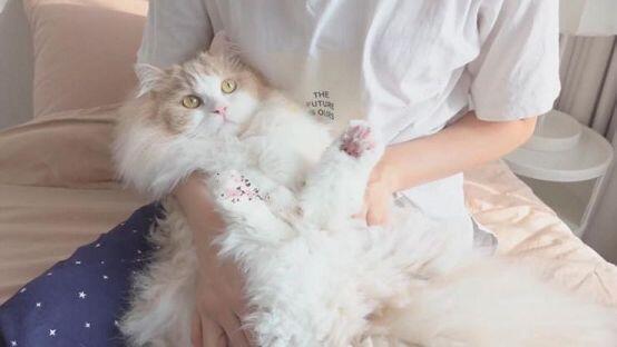 3장 뚜둔