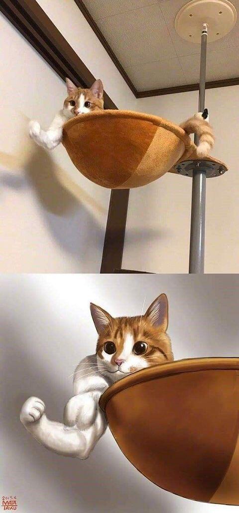 ㅋㅋㅋㅋㅋㅋ