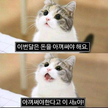데헷