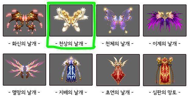 다이스 굴렸더니 연속으로 천상의 날개가 나왔음 총 3쌍의 날개로 이루어져 있고 맨 첫 번째 날개에 금빛 문양이 새겨져 있다. 언뜻 보면 고급진