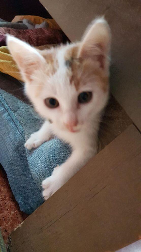 승마장에 있는 자매다....잘때한정 천사들👼👼 안가던 승마장 얘네때문에 일주일에 한번씩 꼭 감