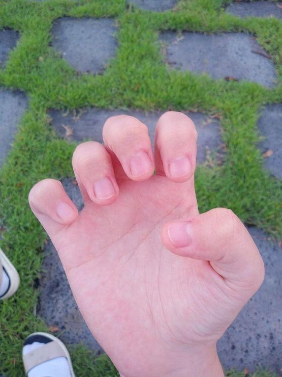 산책 하면서 찍었어ㅎㅎ 풍경 사진은 덤! 추천 해준 2명 고마워! 오늘 좀 물어뜯는 바람에 좀 짧아졌네 내일부턴 초심으로 돌아가서 절대 안 물어