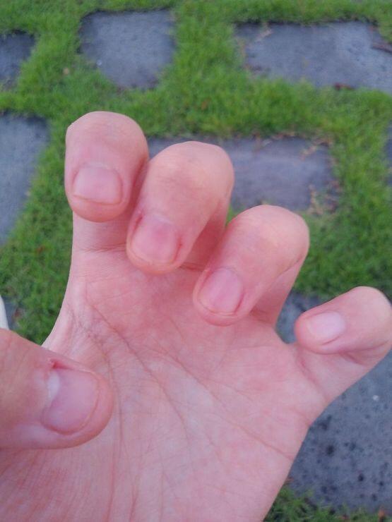 산책 하면서 찍었어ㅎㅎ 풍경 사진은 덤! 추천 해준 2명 고마워! 오늘 좀 물어뜯는 바람에 좀 짧아졌네 내일부턴 초심으로 돌아가서 절대 안 물어