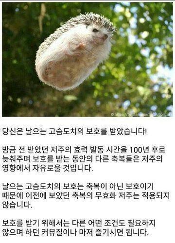 저주 받거라