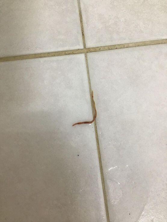 나왔다!!!!!!