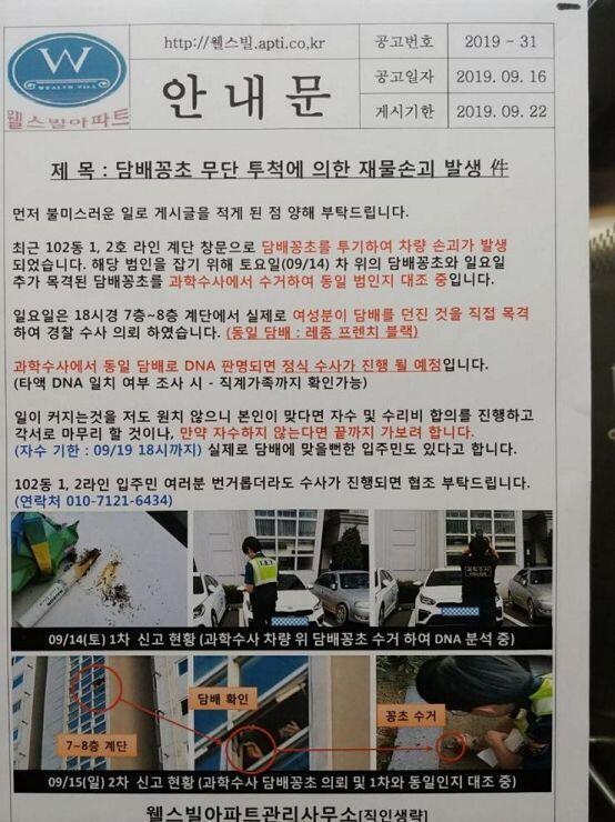 세상 미친