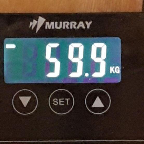 일단 첫 몸무게ㅎㅎ 165cm에 59.9 참담스...