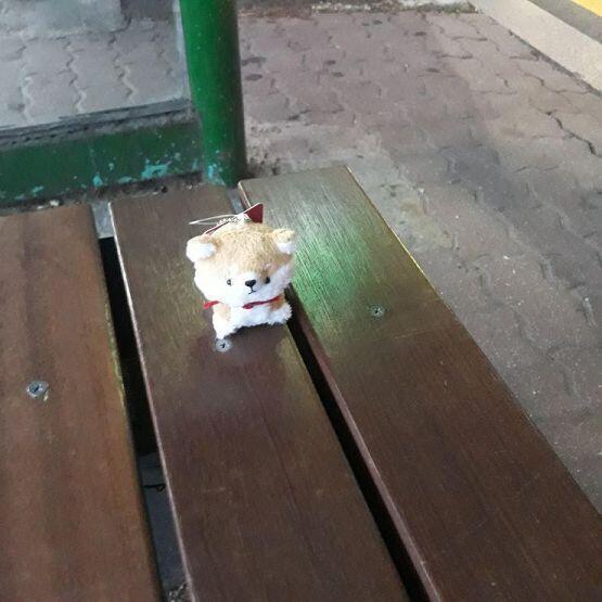 뿅! 이 의자도 되겠지? +혹시 몰라서 버스정류장 의자 추가해!