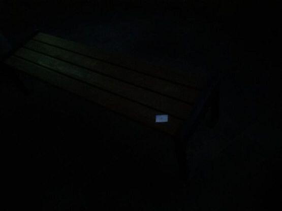 잘 안찍혀서 힘들었다. 폰이 구려서 밤에 사진 잘 안찍혀