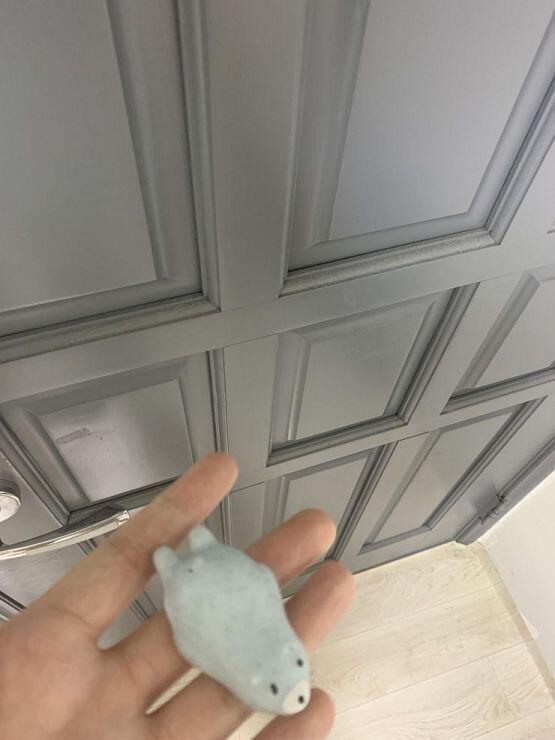 어... 나는 내 소울메이트를 조금 꼬질꼬질한 곰돌이로 할게... 인형을 다 버려서