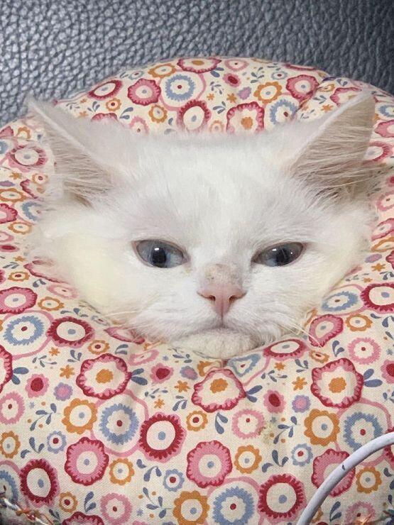 올라갔으니까 기분좋아서 여러장더!!