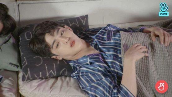 누워있는 이쁜이들