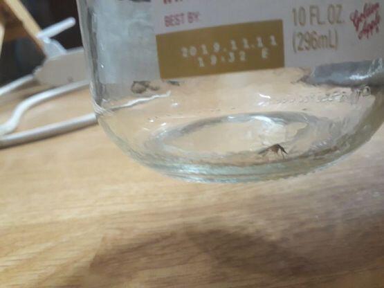 사진이다