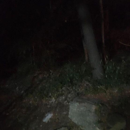 너네가 안믿을까봐 사진 첨부할께 ㅜㅜ.. 끌려가면서 찍은거고 어두워서 잘 보일진 모르겠다..