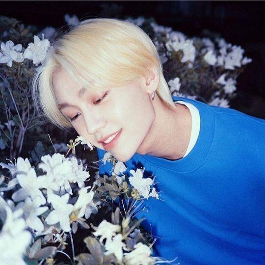 잘생긴건 비투비 정일훈 예쁜건 비투비 이민혁
