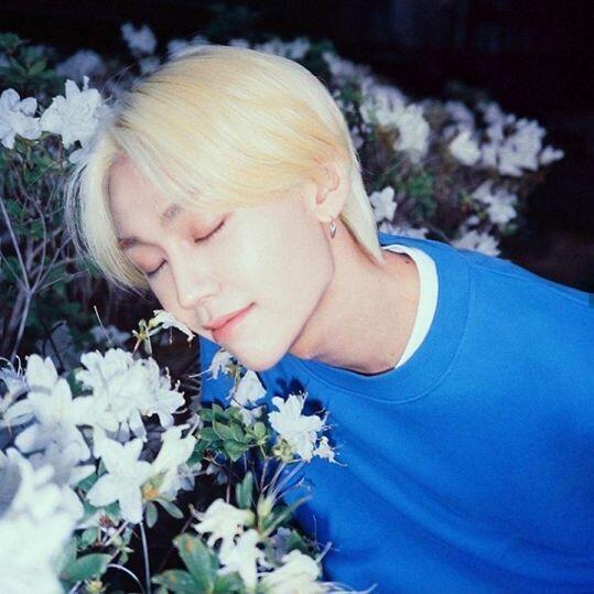 잘생긴건 비투비 정일훈 예쁜건 비투비 이민혁