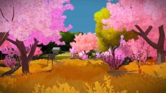 The Witness