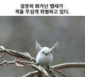 그리고 자칭 무심 냉정 걸크여주가 활약하는것을 볼때 비치는 모습 안돼면 그냥 하지마 제발 억지로 하는거 다티나;; 그냥 자연스럽게 매력적이고 따