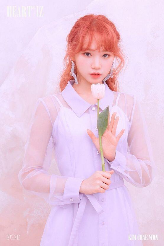 아이들 수진이랑 아이즈원 김채원 !! 수진은 실제로 봤는데 진짜 개성있어보여 채원이는 저번 콘서트 티켓팅 실패해서 못갔지만 작은 얼굴에 저 이목