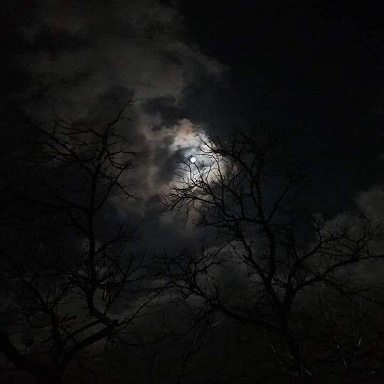 갤럭시 일반카메라로도 이정도 나온다구!!