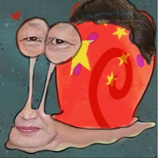 시진핑핑이