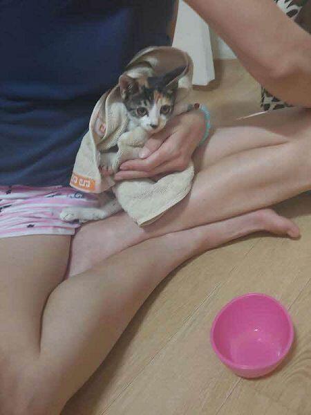 올려졌나..?