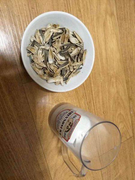 오늘은 우유랑 함께 먹었다 고소하고 맛있는데 어째 내가 햄스터가 된 기분이야ㅋㅋㅋ