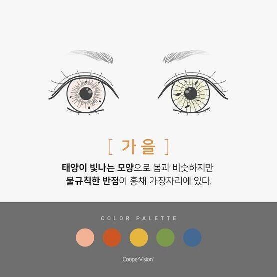 다음은 가을 겨울 궁금해~ 알려줘!!