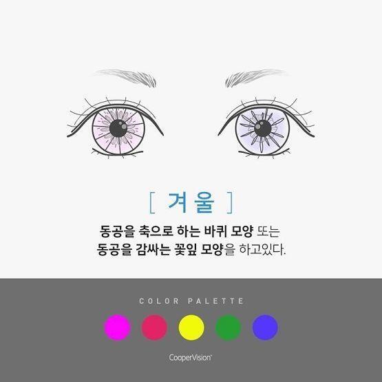 다음은 가을 겨울 궁금해~ 알려줘!!
