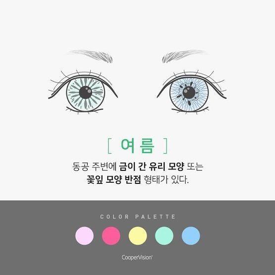 먼저 봄이랑 여름! 양쪽 눈색이 다른건 모양이 달라서.. 이런 모양들이다~하면 될거양