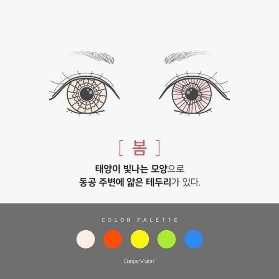 먼저 봄이랑 여름! 양쪽 눈색이 다른건 모양이 달라서.. 이런 모양들이다~하면 될거양