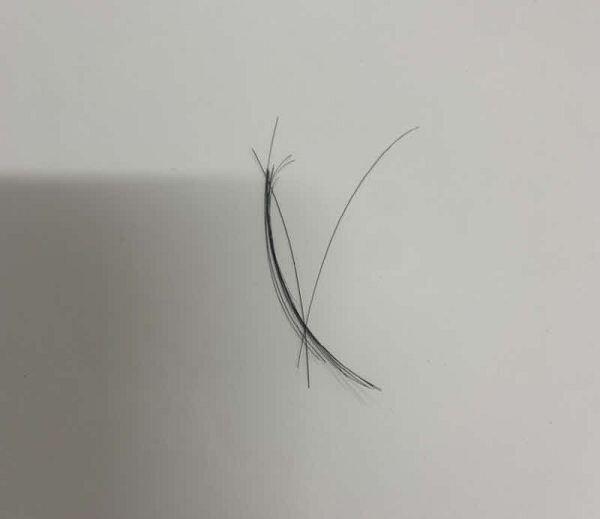 이런거 나와써; 참고로 내머리는 허리 약간 위까지 올정도로 길고 내동생 아빠 엄마는 내방에 들어올 일 없음..