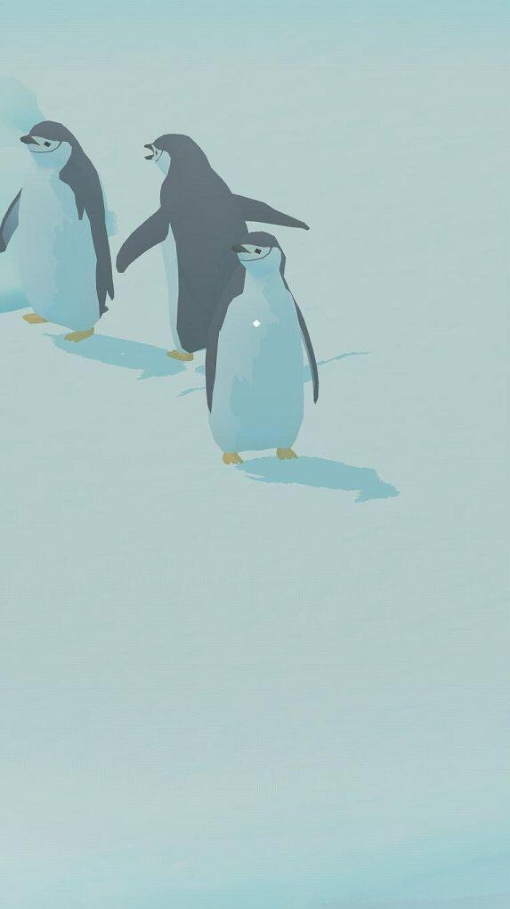 얘는 턱끈펭귄이야