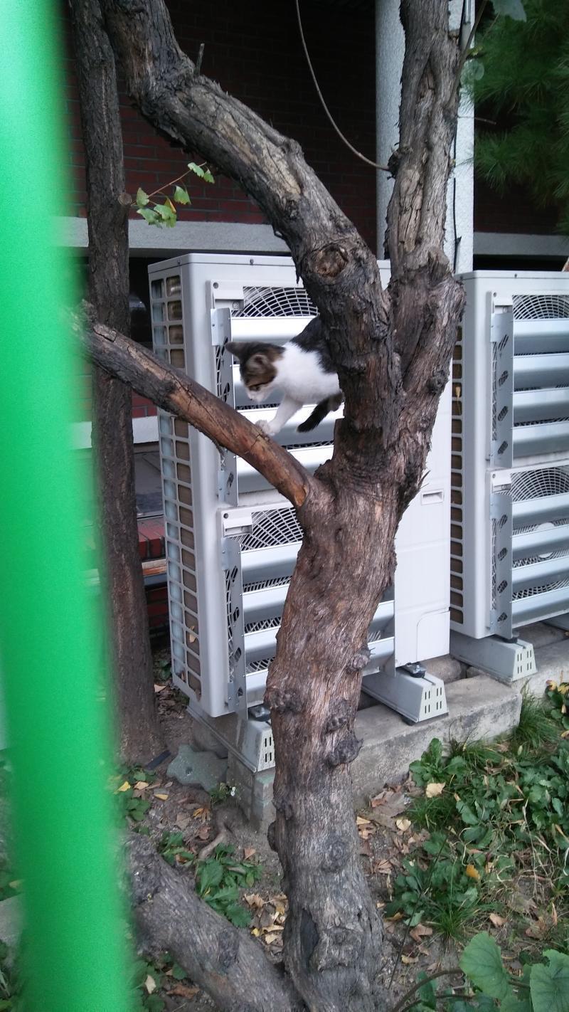 호접지몽 무릉도원 사필귀정 자, 만들어 봐!