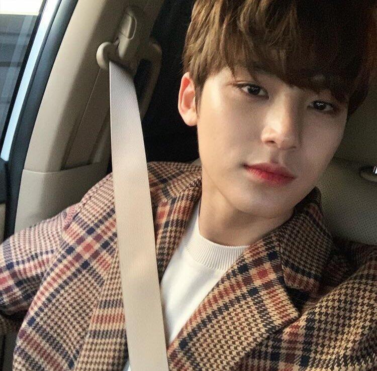 이건 완전 세븐틴 민규네. 대형견이라는 별명이 있을정도임. 키 187에 멍뭉미도 있고 가끔 애교 부려주는데 그때마다 귀여워서 깨물어주고 싶을거야