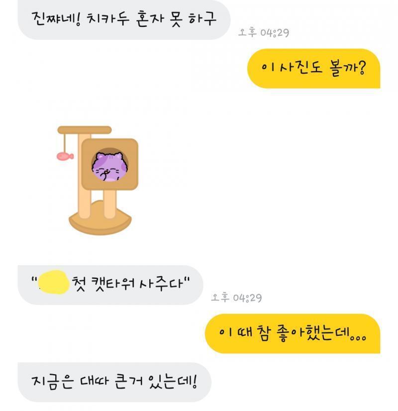 추억