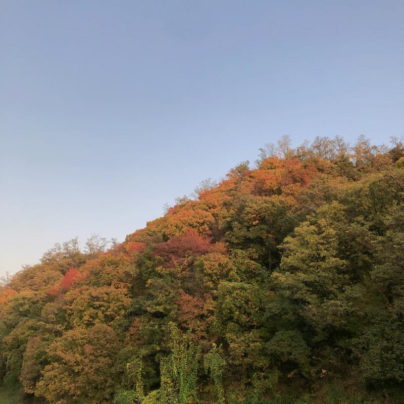 헿헿