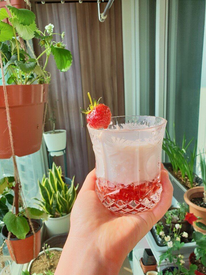 오 맘같아선 카톡으로 하나하나 알려주고싶다ㅜㅜㅜㅜ나 식물키우긴 진짜 자신있거든 딸기는 직접 재배해서 키운거고