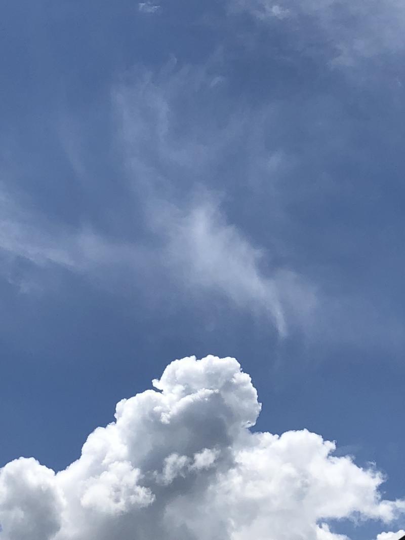 헿헿