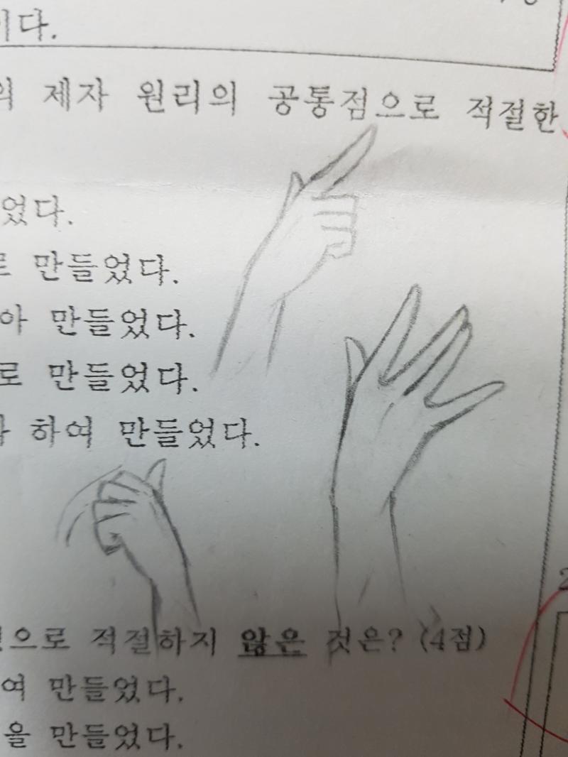 손연습