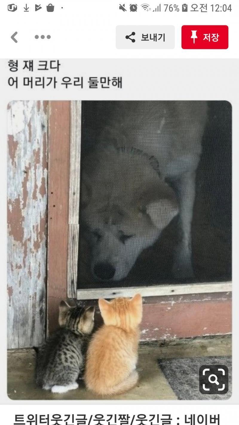 어쩐지 너무 치명적이더라