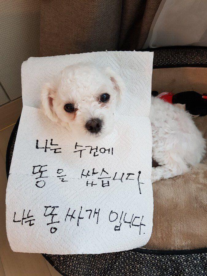 흠