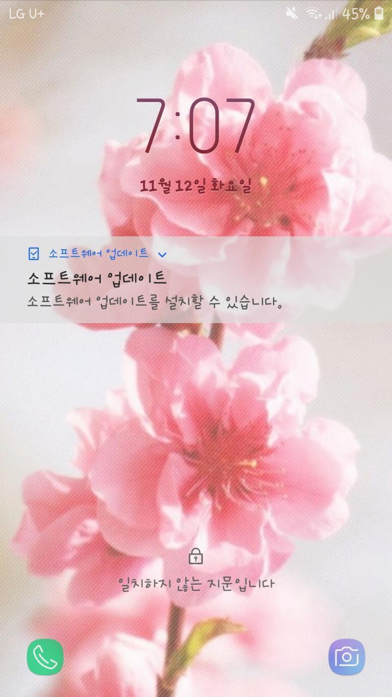 나 지금 너무 사랑이 고파서 복숭이꽃 스킬이든 뭐든 다 써보고싶은데 벚꽃일까봐 사진 올려봄 이거 복숭아꽃 마자?? 걍 구글검색으로 암거나 퍼왔더
