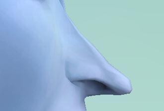 열심히... 날카롭게... 가는 중..... 날카로운... 송곳같은... 코를... 위해....