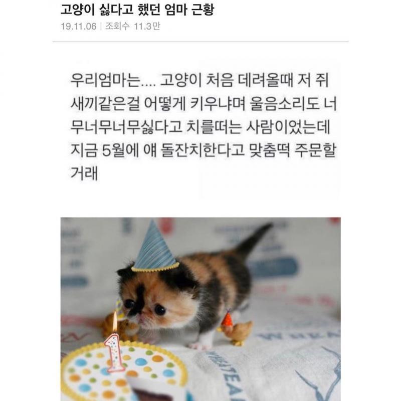 냐냥