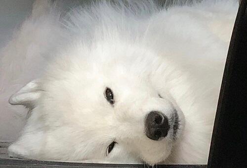 올려도 되는지 모르겠는데... 우리 힝구 사진이야!ㅋㅋㅋㅋㅋ