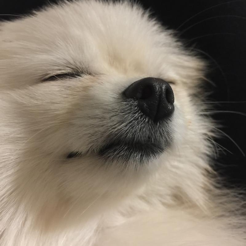 우리집 복덩이들 ㅋㅋㅋㅋㅋ