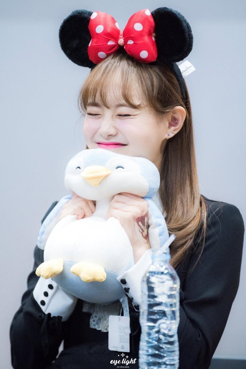나도 츄 추천함~♡♡~♡~♡♡ 이름부터 기엽지?? 근데 진짜 츄처럼 생김 ㄷㄷ 하... 너무 기엽다...ㅠㅠㅠ