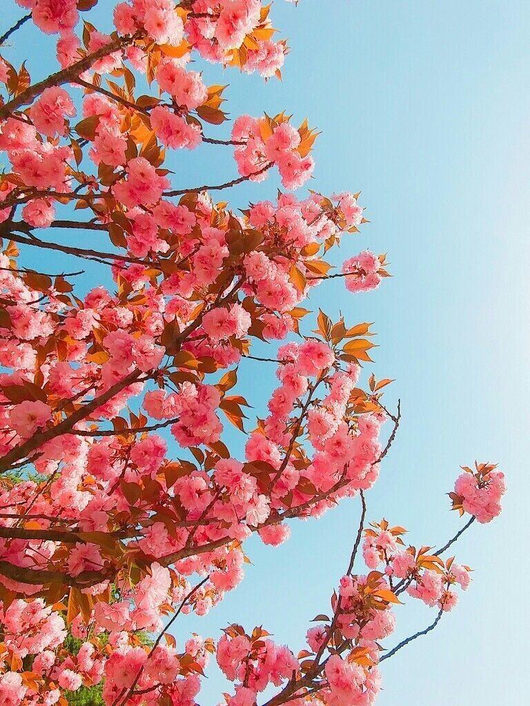 사진 찾는 사람들 좀 있는 것 같아서 이쁜거 올리구 갈게!!
